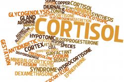 how to decrease cortisol